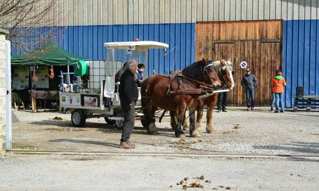 Location de calèche, balade, fête de village